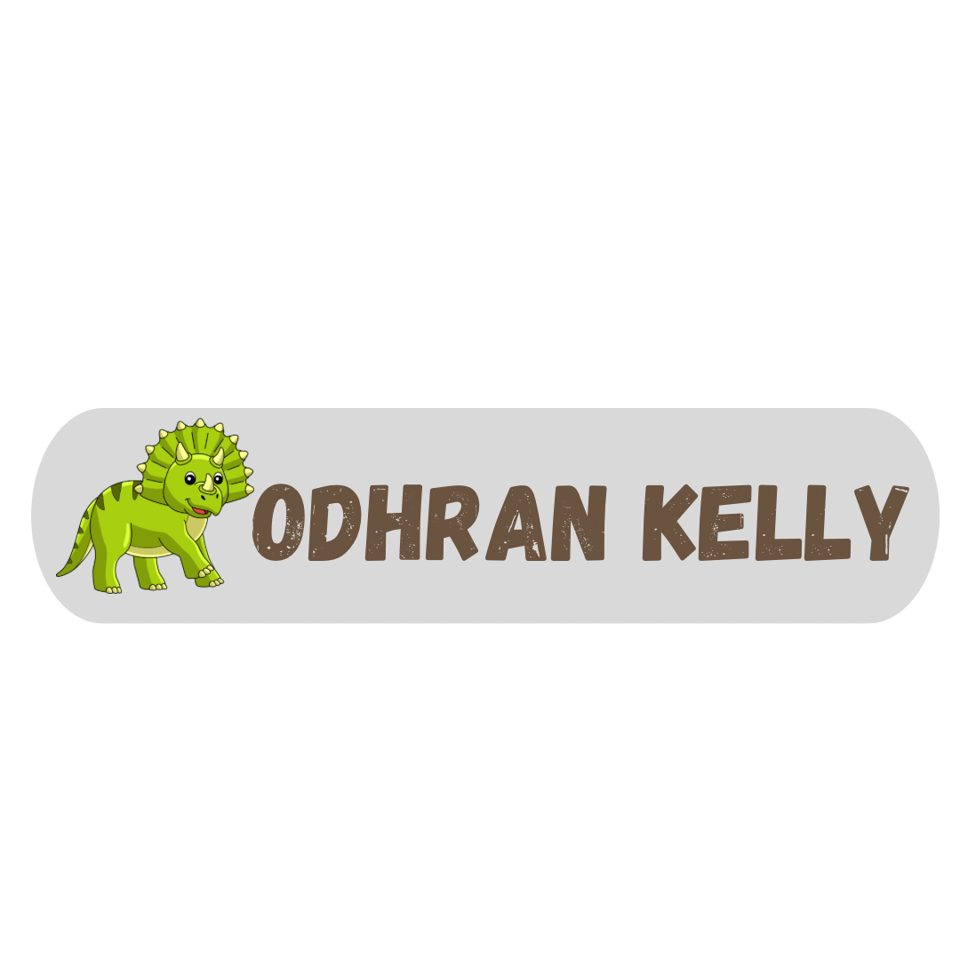 25 Personalised Name Tags- Dino
